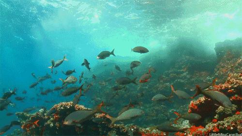 伯利兹旅游视频,伯利兹攻略