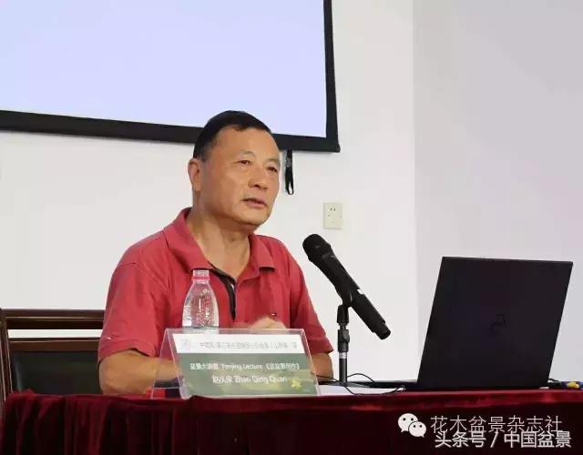 哪些野草适合微型盆景,小品盆景和微型盆景有区别吗