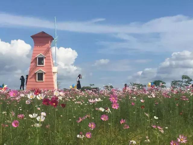 重阳节与老人互动,重阳节和老人互动