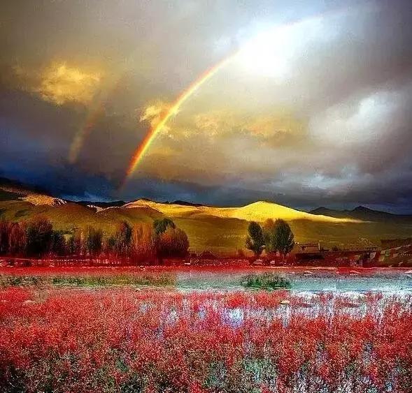 稻城从你的全世界路过片段,稻城从你的全世界路过