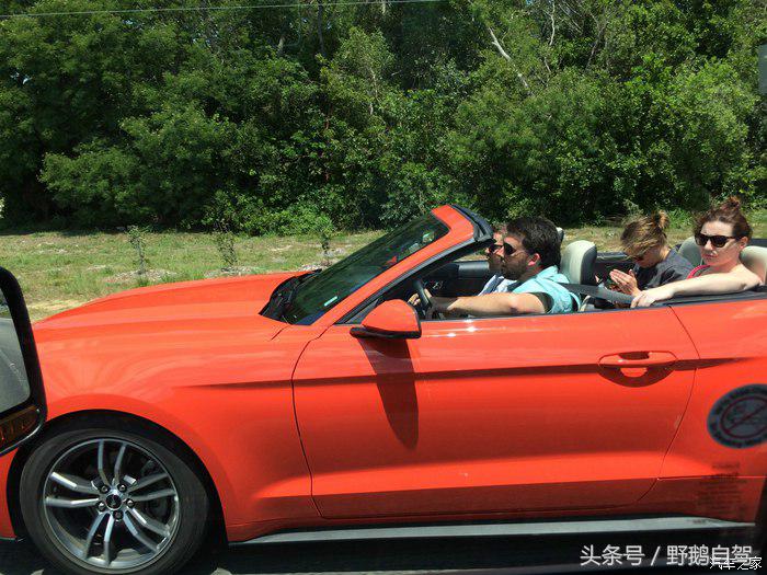 野鹅旅行,野鹅自驾无人区