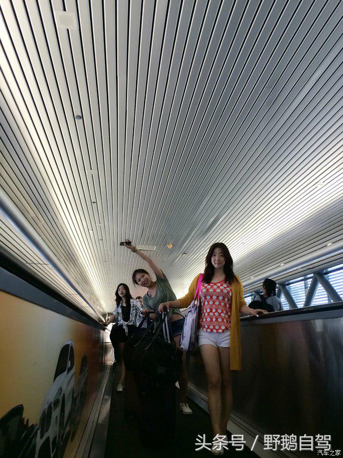 野鹅旅行,野鹅自驾无人区