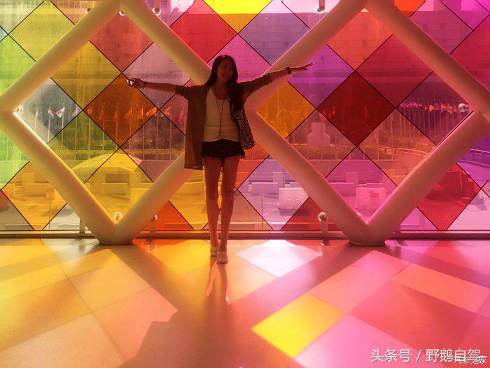 野鹅旅行,野鹅自驾无人区