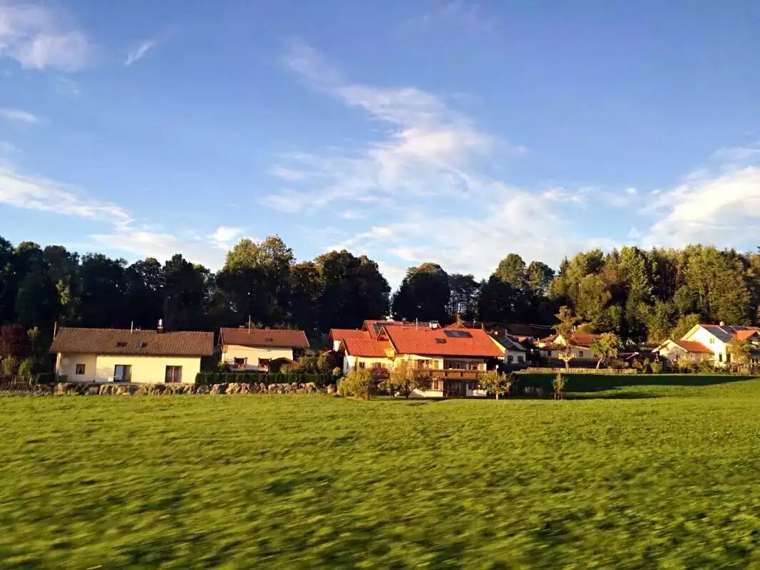 蓝瘦香菇在这里视频,蓝瘦香菇在法国