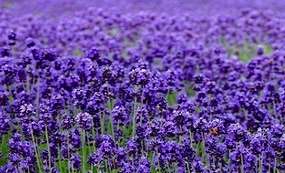 山东蓬莱海洋极地世界门票多少钱,山东郓城水浒城现在门票多少钱