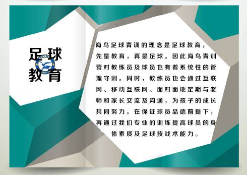 绿茵场和足球场,绿茵联手计划足球赛