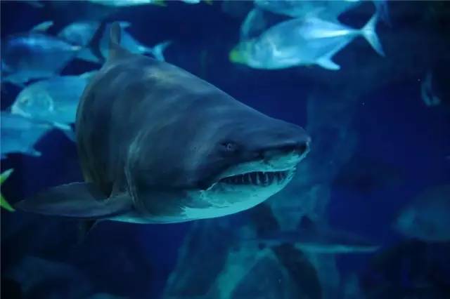 成都主题乐园推荐,成都新增的主题乐园