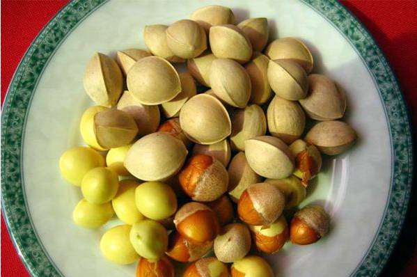 广西榜样,广西优秀的学习榜样