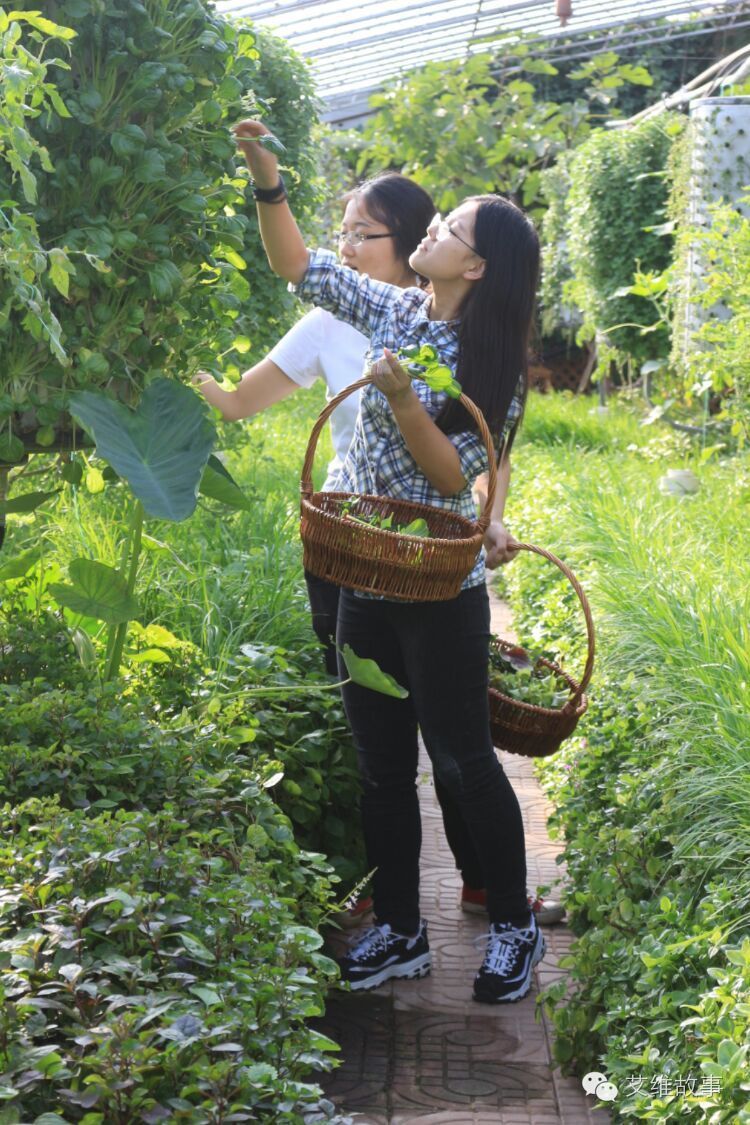 艾维wwoofer之：一路前行，一路感动