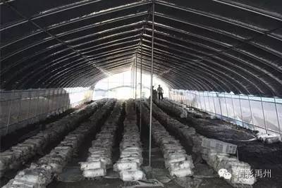 扶贫路上禹州,禹州脱贫