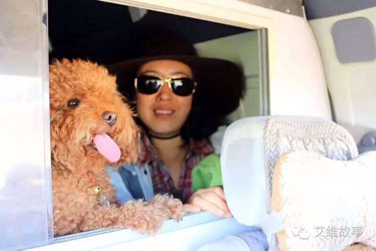 艾维wwoofer之：从艾维的世界路过