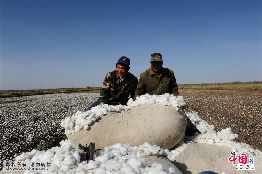 新疆采棉工人血泪史,新疆采棉工大军