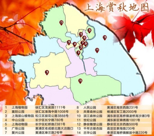 上海一周新闻快讯,上海一周要闻