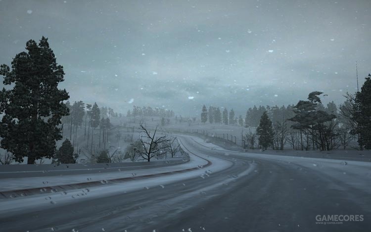 哥谭谈交通,哥谭跑车街拍