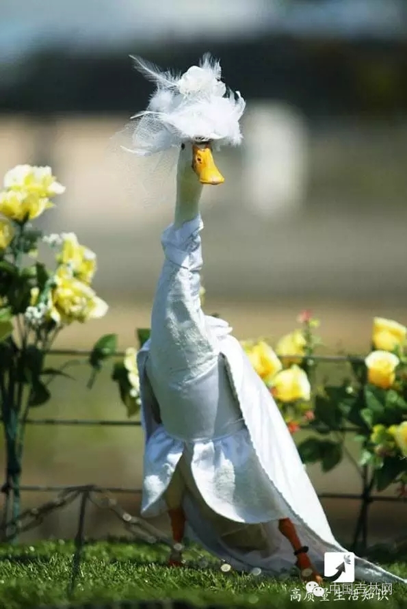 长春热企提前开栓供暖,长春市提前开栓供热通知