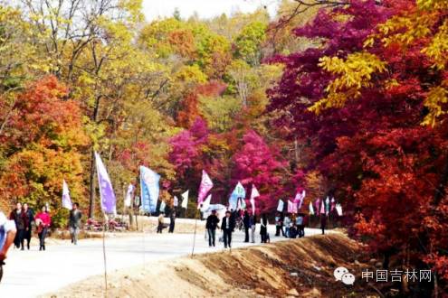 鍏ㄥ浗濯掍綋鑱氱劍鏄ュ煄,鍏ㄥ浗鐧惧濯掍綋濂斿悜姝︽眽