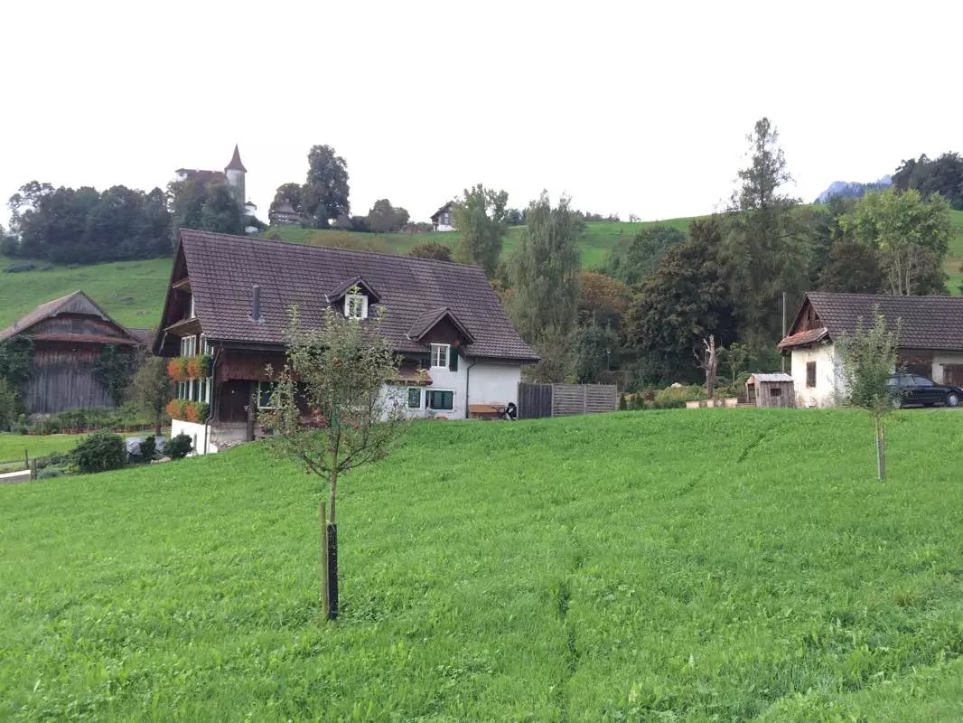 蓝瘦香菇在这里视频,蓝瘦香菇在法国