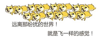 豚鼠各类饲养装备优缺点汇总之上篇