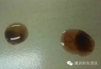 香港查获假冒产品,蔓越莓真假