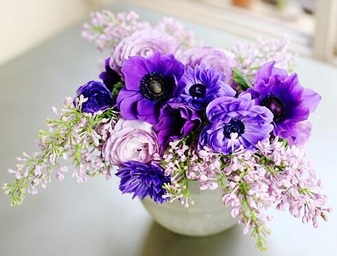 占星职场周运2018,占星中看工作运势