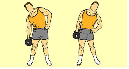 腰部肌肉锻炼的最佳方法视频,腰部肌肉锻炼方法