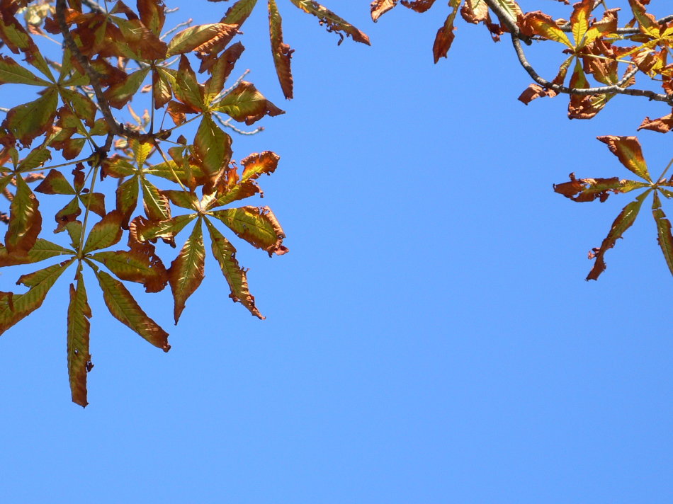 马德里不可思议镜面,马德里不可思议卡点
