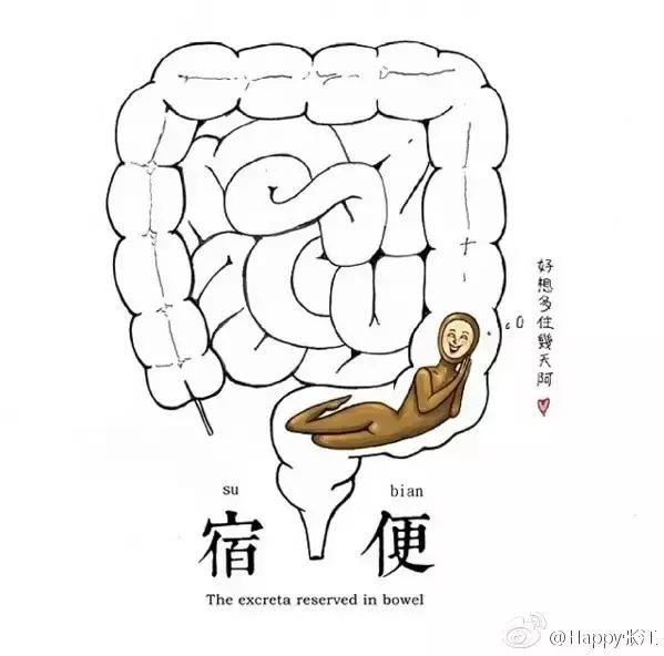 我们不踢球,我们是足球的搬运工