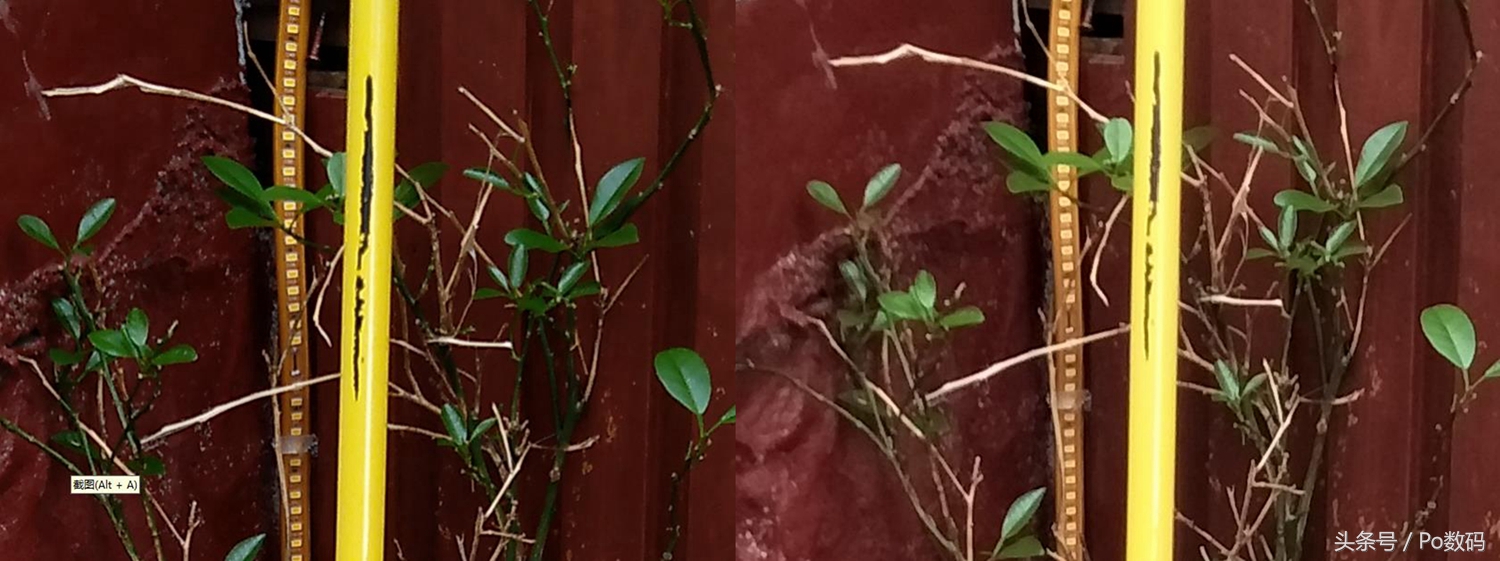 拍照媲美14ultra的千元机,拍照技术照片测评