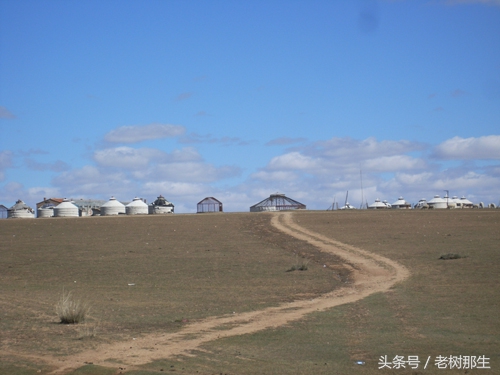 内蒙希拉穆仁草原风景视频,希拉穆仁大草原和内蒙古大草原