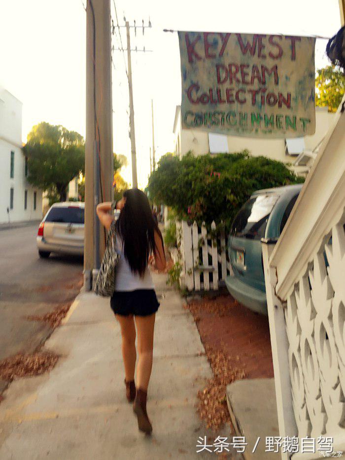 野鹅旅行,野鹅自驾无人区