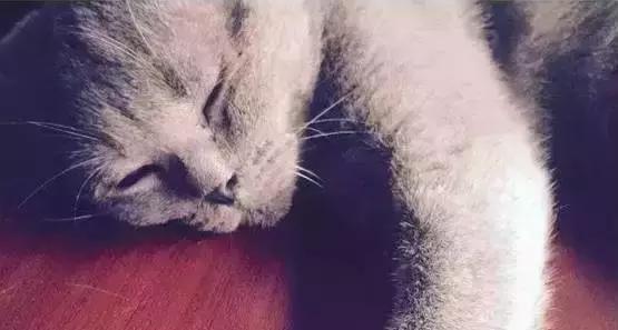 周末想要放松？不如做一次愚蠢的人类吧！