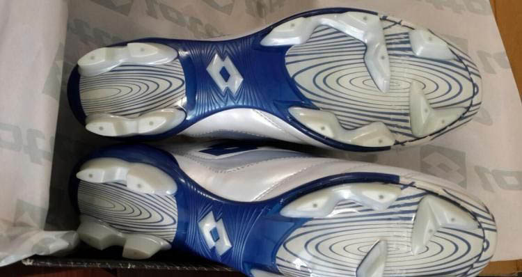 传说中的平民刺客lottozheroevolution