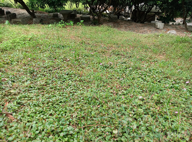 魅蓝max手机详细参数,魅蓝max边框拆解