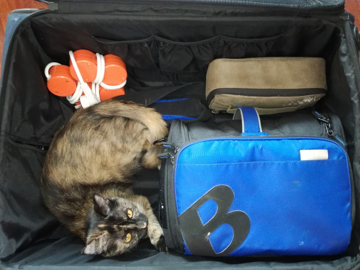 冷石济州岛蜜月之旅第一天：出发