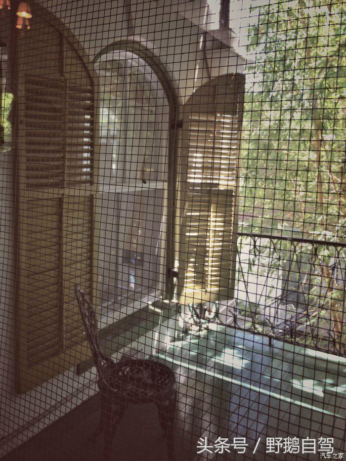 野鹅旅行,野鹅自驾无人区