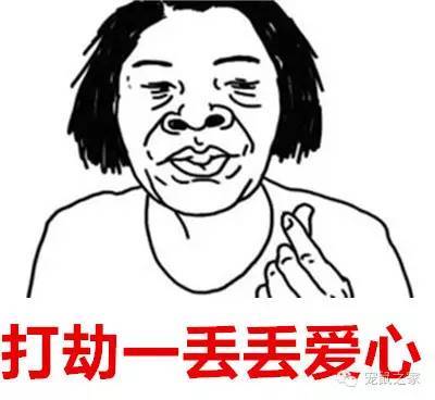 豚鼠各类饲养装备优缺点汇总之上篇