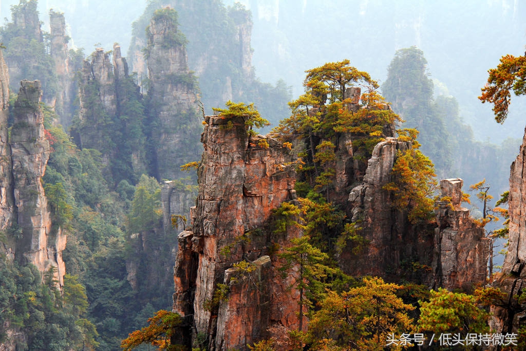 武汉到张家界自由行攻略,上海到张家界自驾游详细攻略