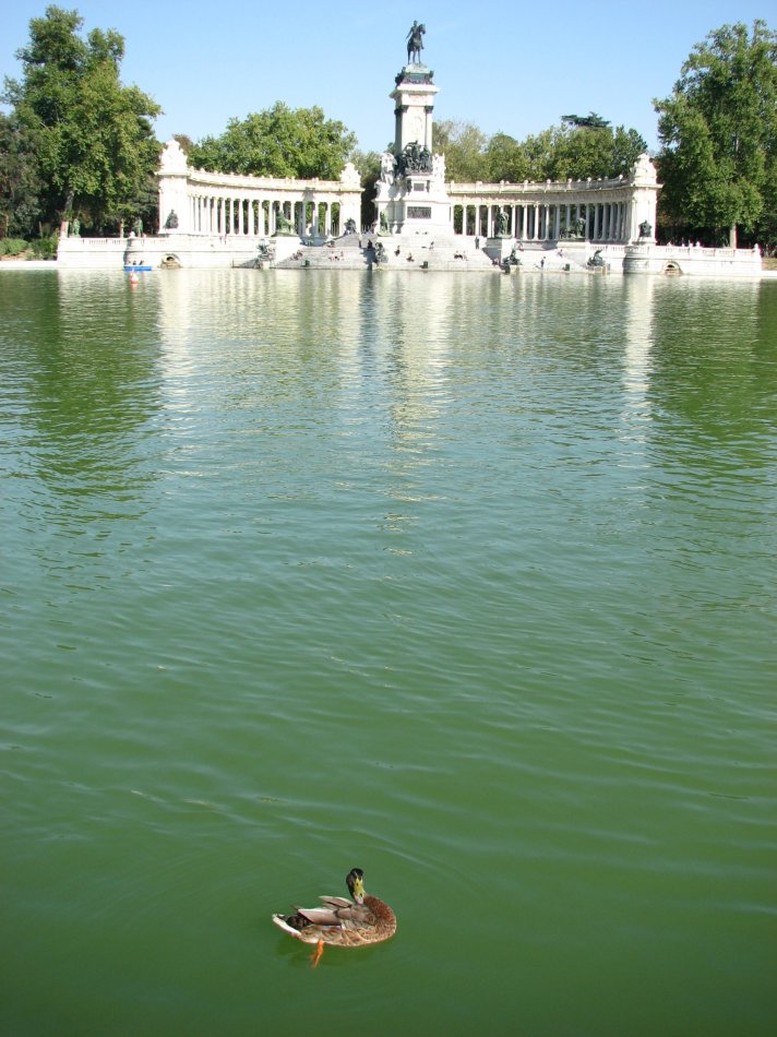 马德里不思议原版,马德里不可思议完整视频