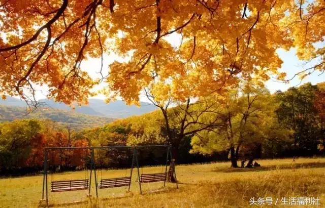 哈尔滨与人民有关的标志,哈尔滨标志性符号