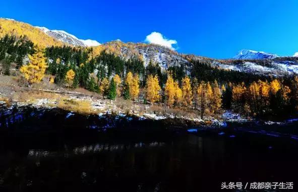 秋看落叶，夏玩水！成都边边观红叶圣地推介