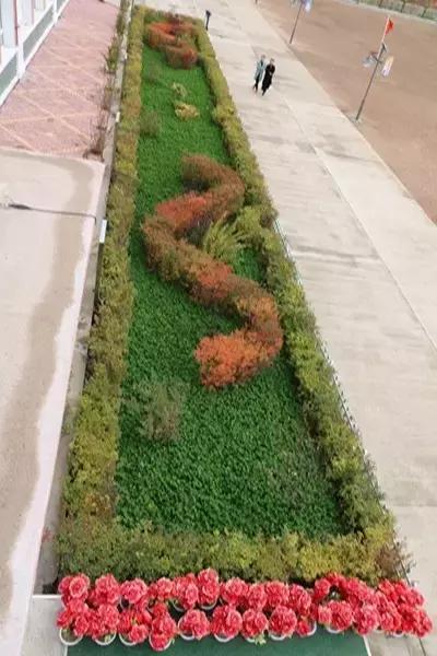 双鸭山市宝清县青原镇——金秋校园别样美