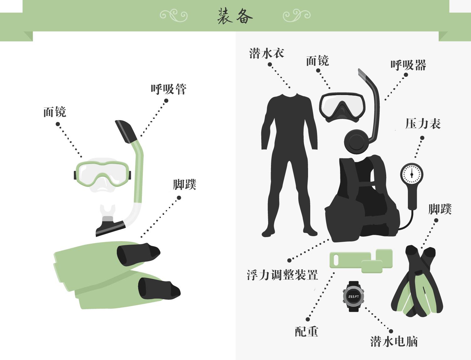 水肺潜水戴浮潜管,浮潜水肺潜水自由潜区别