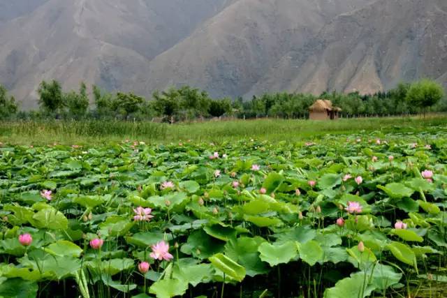 中国城市综合排名五十强兰州,兰州跌出百强城市