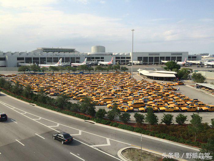 野鹅旅行,野鹅自驾无人区