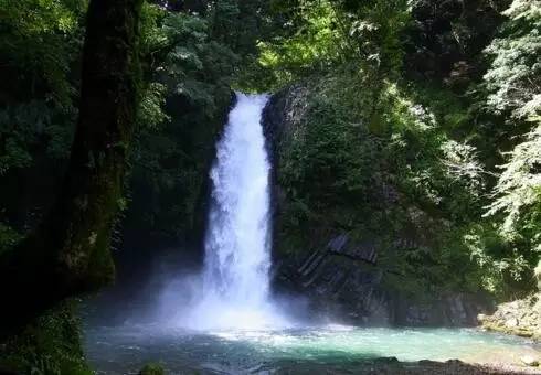 日本大阪东京15天自由行攻略,东京大阪6天旅游攻略