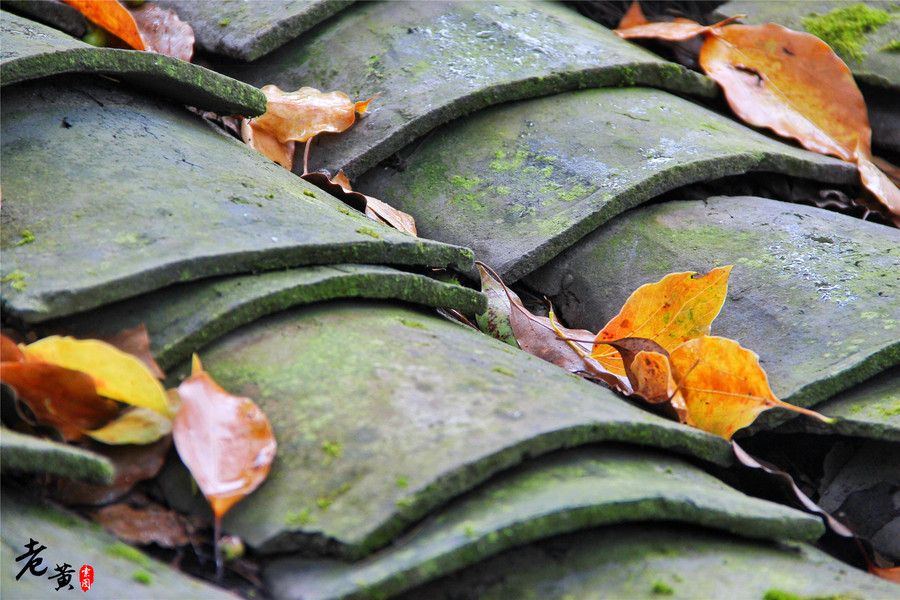 黔江小南海地震,黔江小南海地震遗址景区