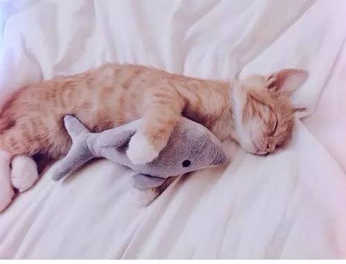 浪费时间的10个原因,拖延时间有哪些理由