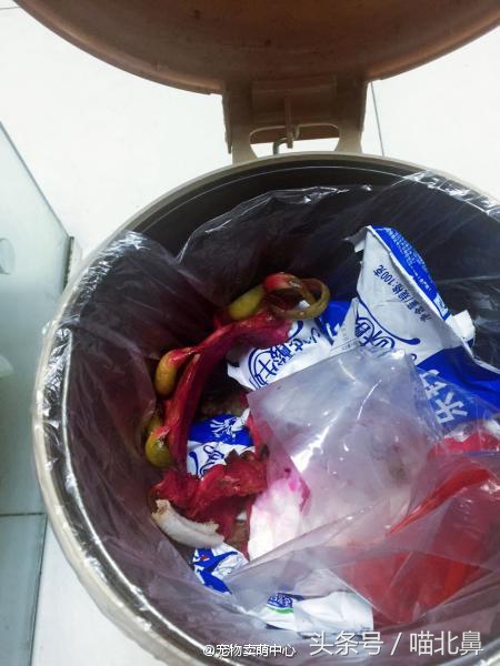 猫奴求助猫猫淘气吃了一点书法印泥会中毒吗？在线等，挺急的。