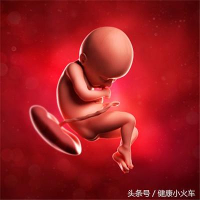 怀孕第36周胎儿发育,怀孕第36天肚子不疼但是有血
