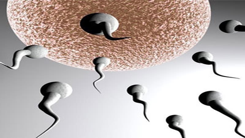 酸男辣女靠谱吗,碱男酸女有效吗